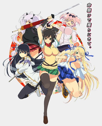 Senran Kagura Ninja Flash