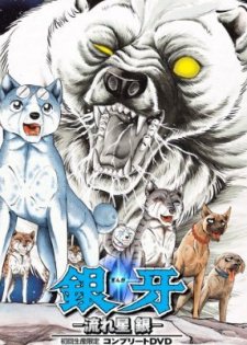 Ginga: Nagareboshi Gin, Silverfang, Silver Fang, The Small Hero. Birth Of Gin