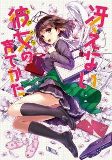 Saenai Heroine no Sodatekata [BD]